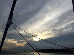 Seascape (D4), Condominium #574117111
